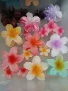 d09dc938330ea36fbc2dbb81d9e508b2.webp