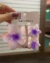 24.4.webp